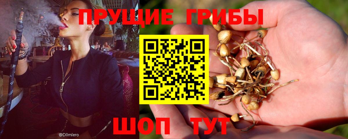 Галлюциногенные грибы мицелий Чита